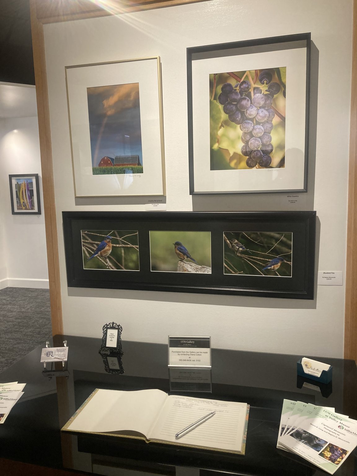 1570 Gallery at Valley Manor Presents "Captured Moments" Photography